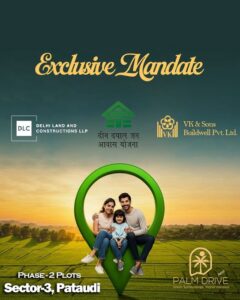 DDJAY Premium Residential Plots at Sector-3 Pataudi