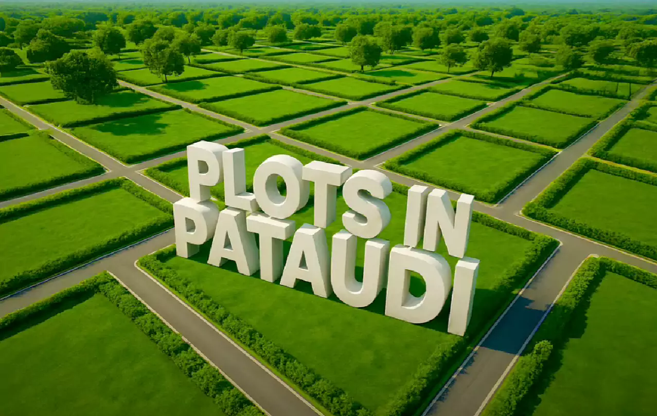 Palm Drive Plots in Pataudi