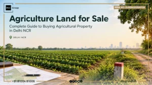 Agriculture land for sale in Delhi NCR with expressway connectivity
